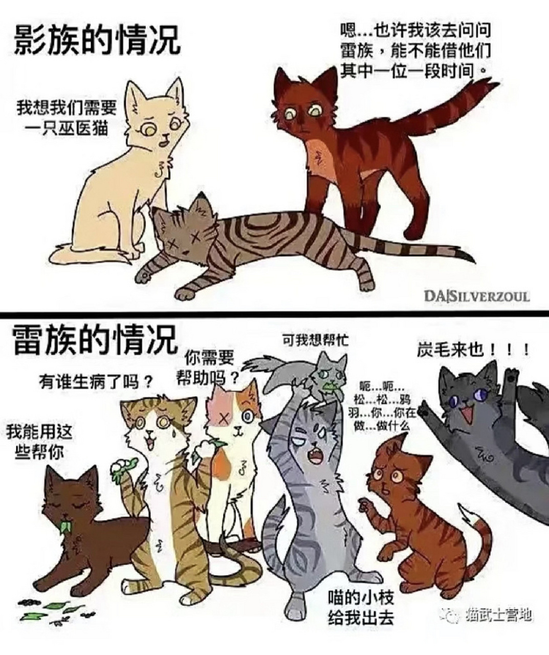 猫武士晴天图片