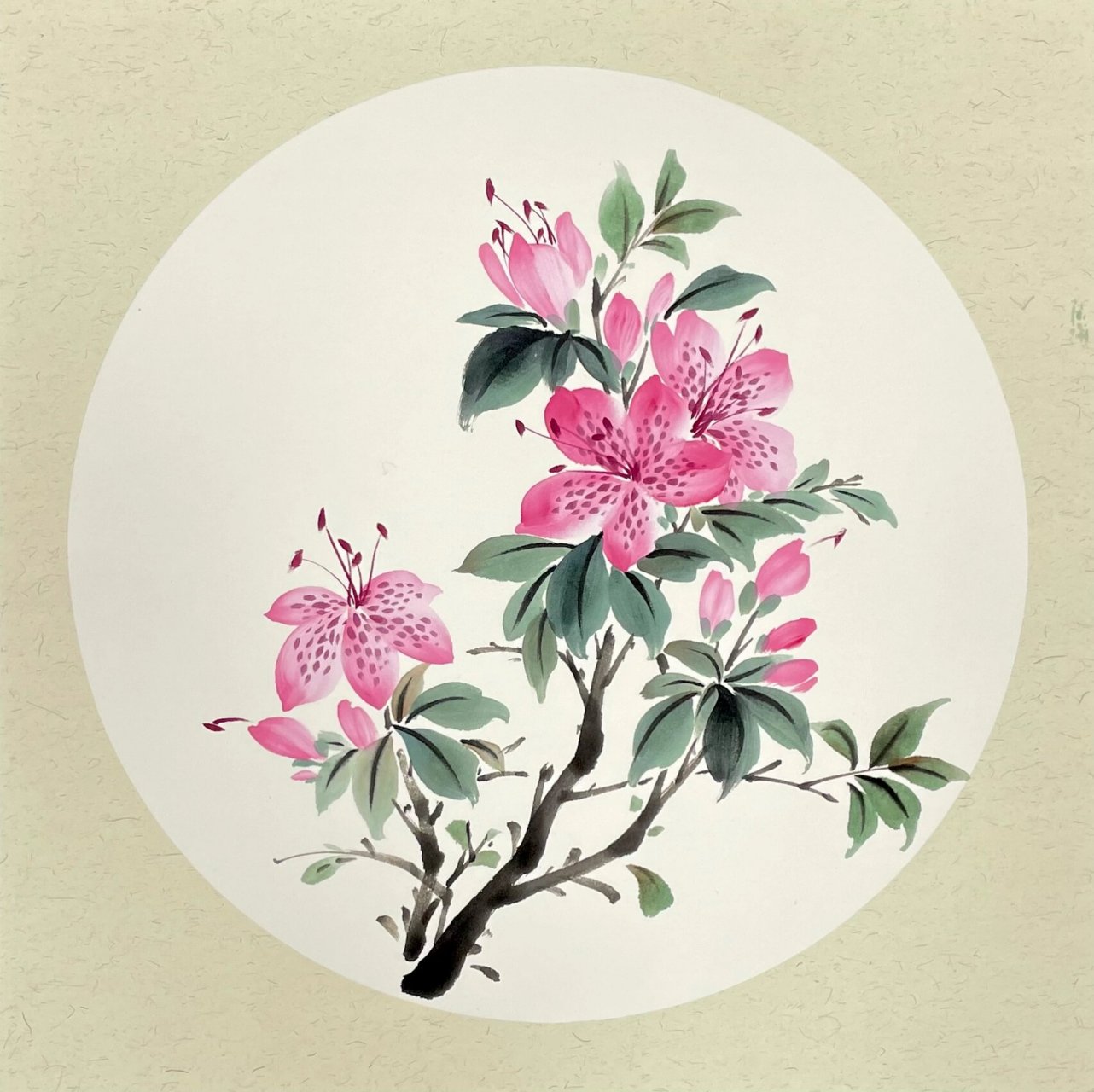 杜娟花 国画 《杜鹃迎春》: 1.