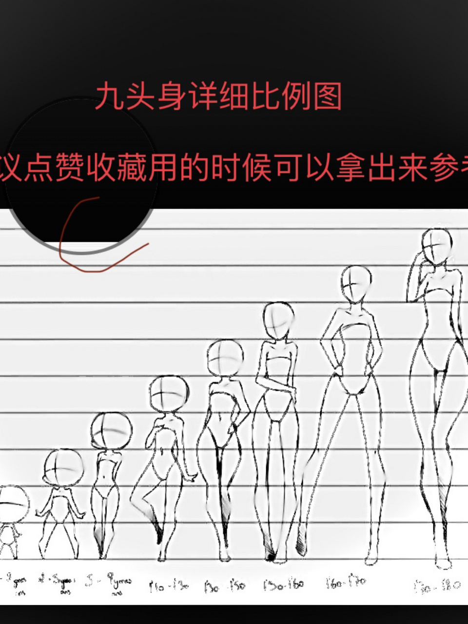 人体比例怎么分析详解/画画教程/零基础 人体比例是画人体是最基础的