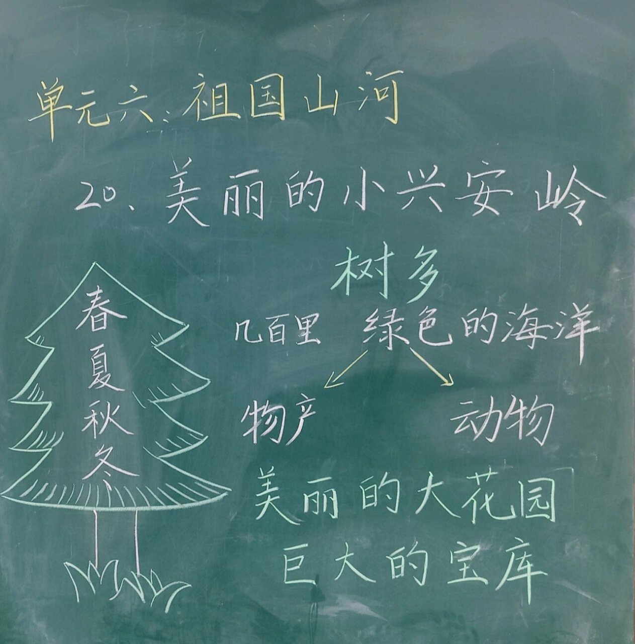 三年级上册《美丽的小兴安岭》板书 参考了小94姐妹的分享,根据自己