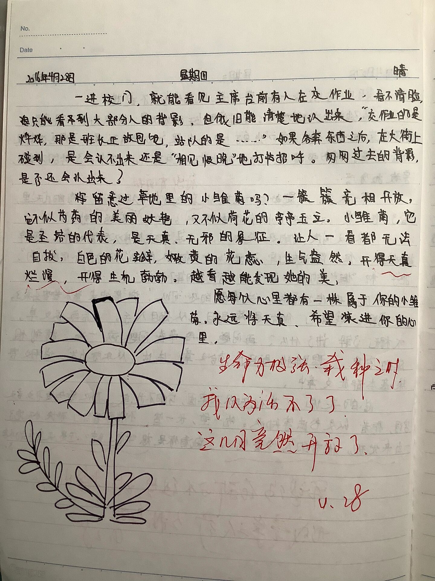 qq空间日记素材=空间日志怎么写才好