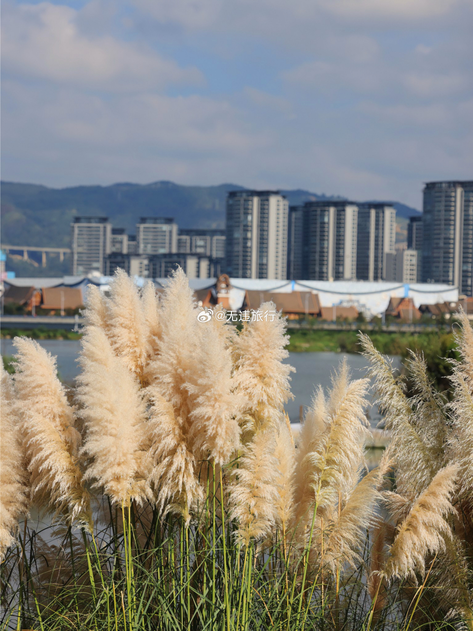滇池草海隧道公园:秋日美景,游玩纪实!