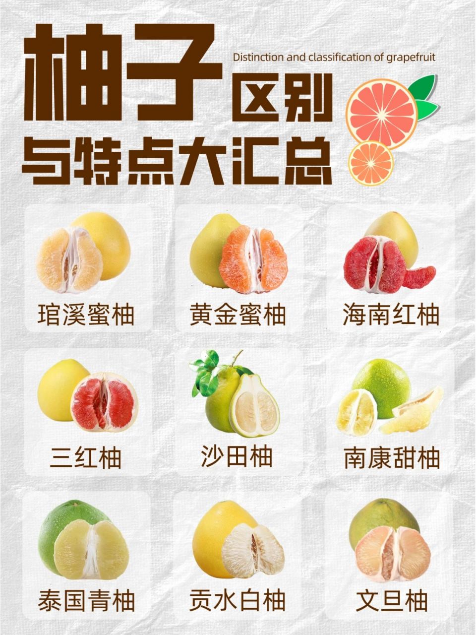 糖尿病人能吃柚子吗图片