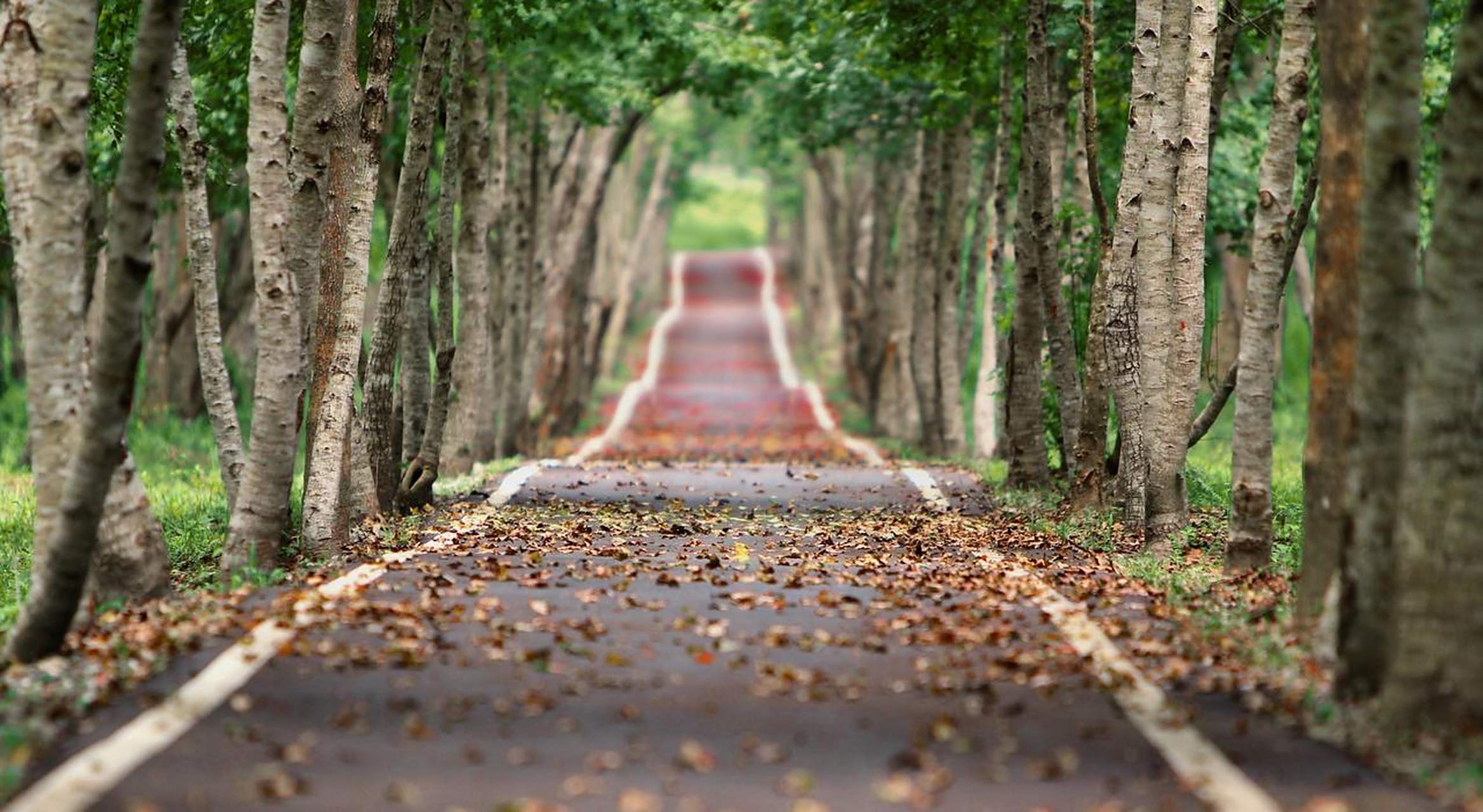 一是大路好走,且时常有行人通过,二是大路往往都是官道,受到当地保护.