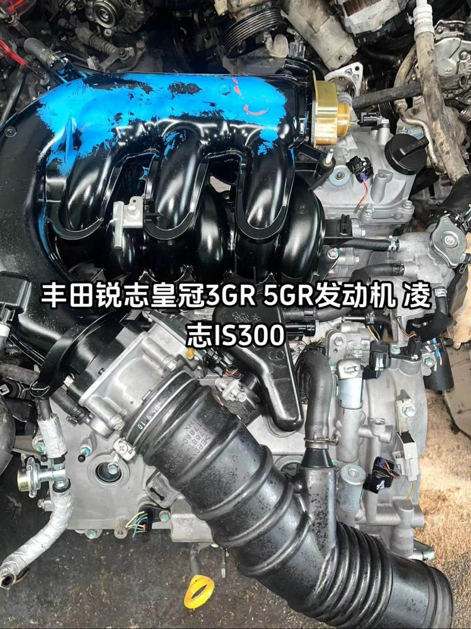 给粉丝安排一台.丰田锐志皇冠3gr 5gr发动机 凌志is300