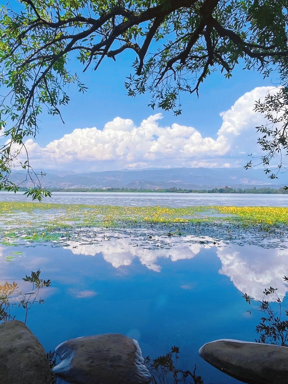 坠入宫崎骏的夏天7815      海风浪漫 日光温柔 一路皆是风景