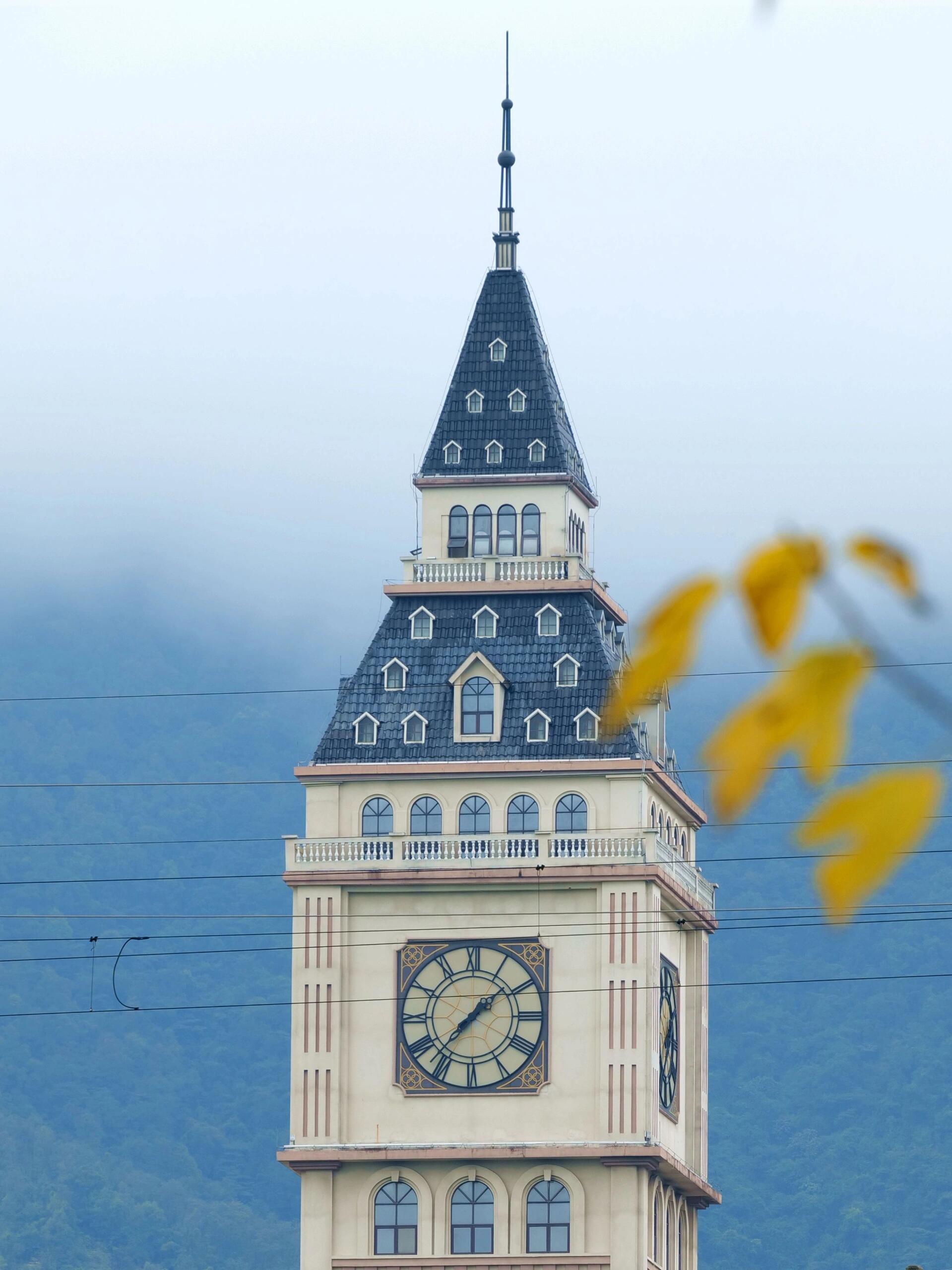 肇庆工商学院的春天影像