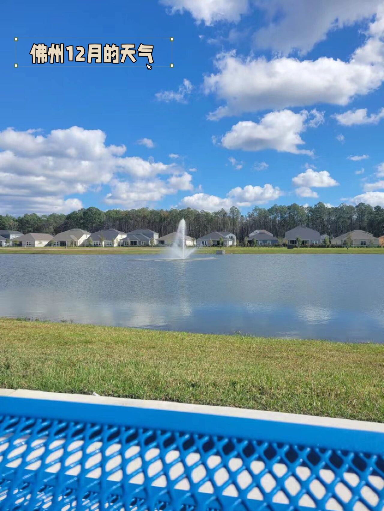 美国的佛罗里达州 奥兰多,迪斯尼乐园,佛罗里达大学,迈阿密,棕榈滩