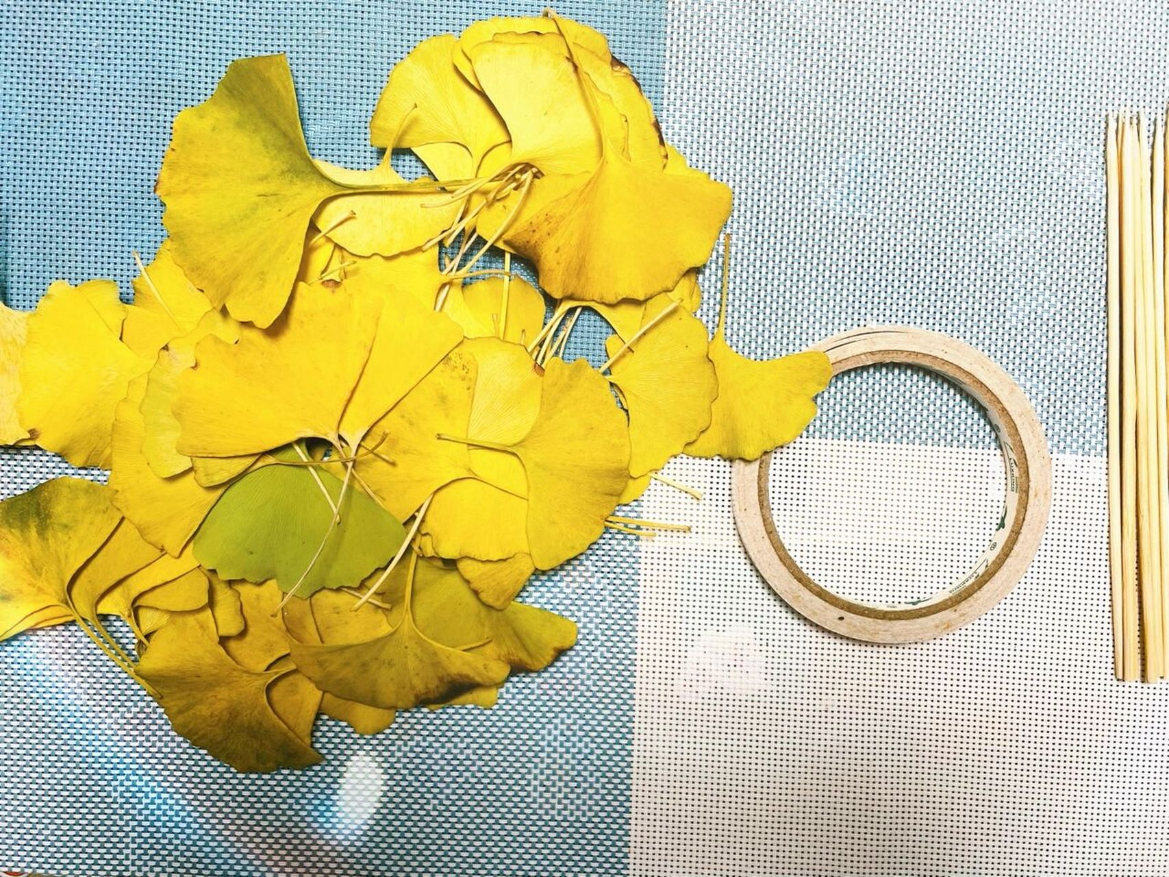 自制圣诞树 银杏叶 亲子手工 小区的花园里掉了很多银杏叶,今天和女儿