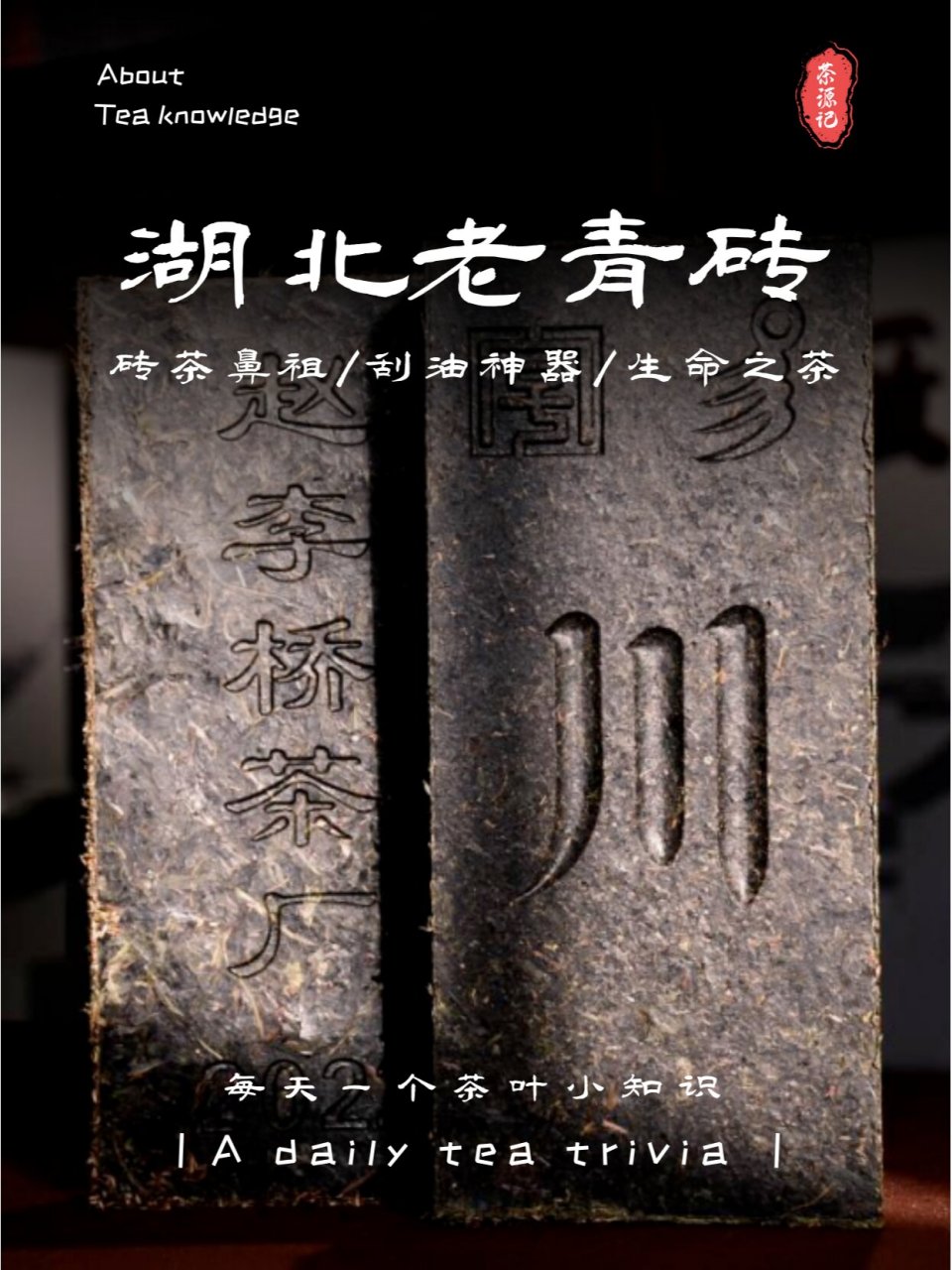 学茶篇🌟一文看懂砖茶鼻祖「湖北老青砖」 分享湖北黑茶的"老大哥"