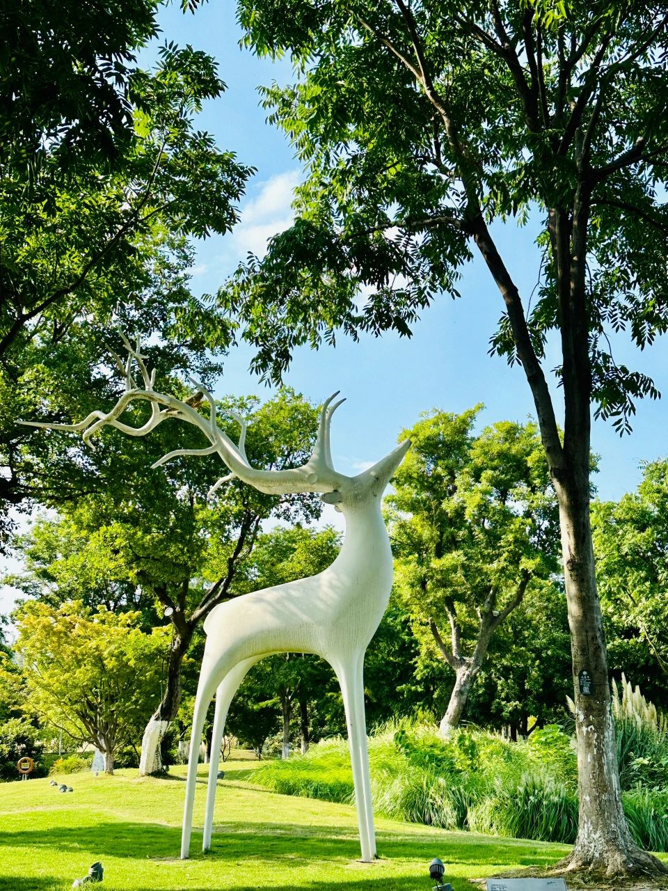 杭州临平遛狗好去处 临平东湖公园 景色如图 停车非常方便 有公园 有