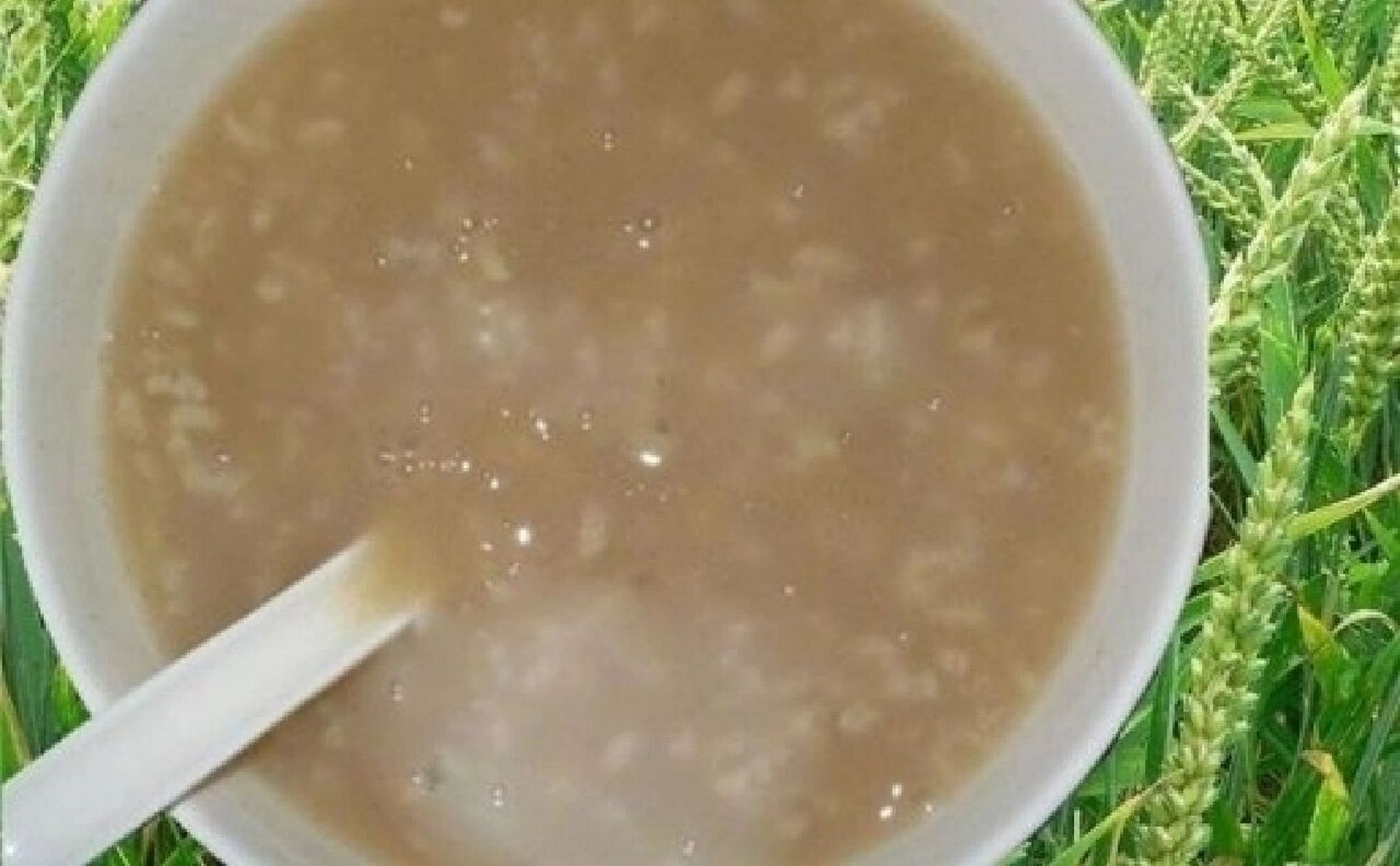 泰兴粯子粥 泰兴人喜欢喝粯子粥,最能代表泰兴的元素,除了泰兴话,就