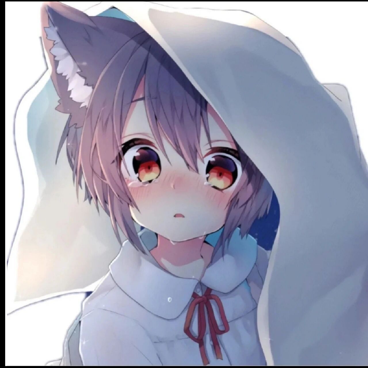 兽耳正太头像,清晰无水印 新人报道  大号