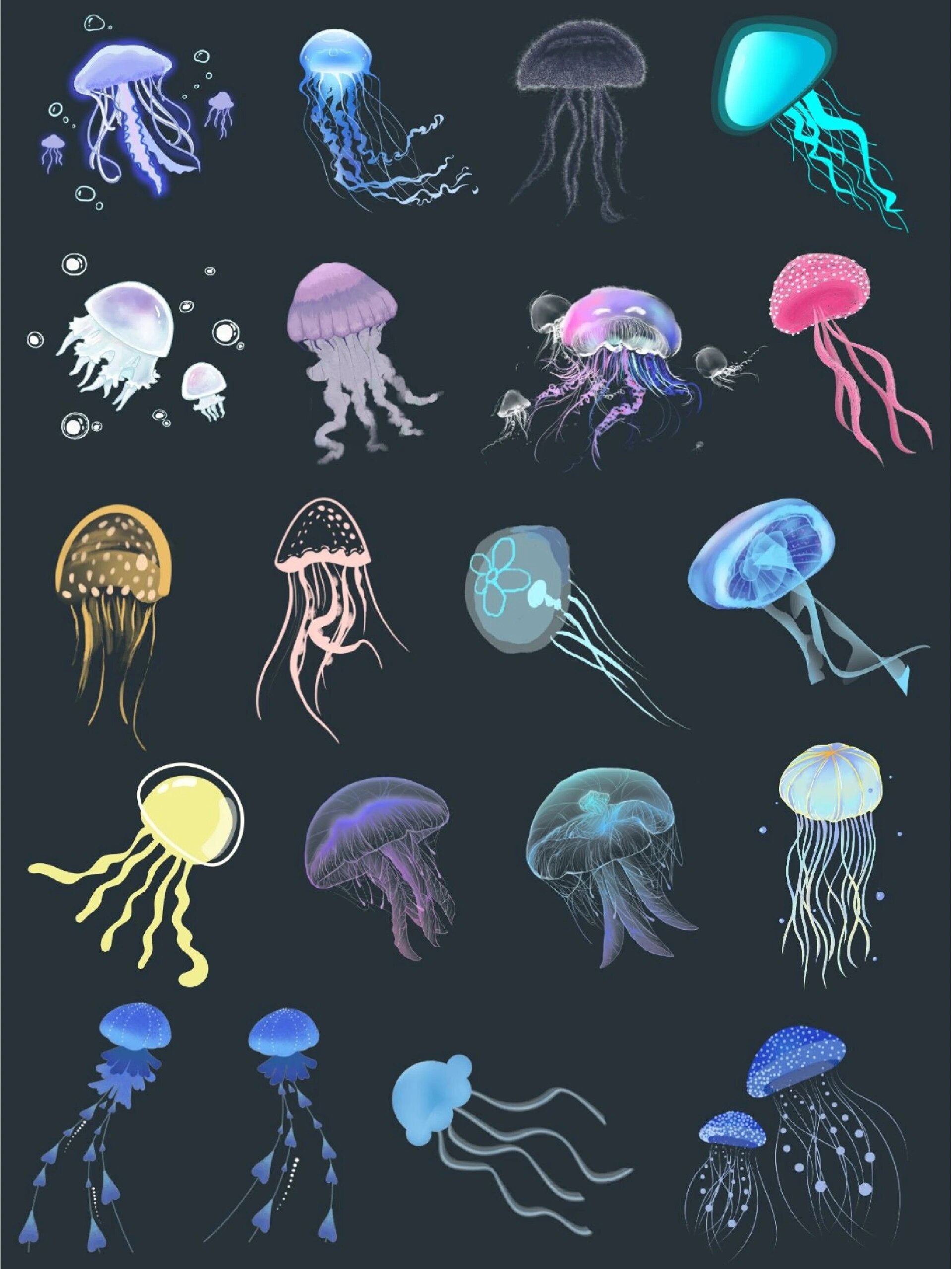 海洋生物