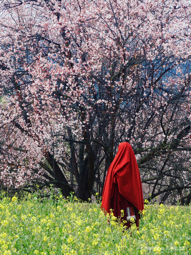 嘎拉桃花村位于林芝八一镇东南侧大约5-6公里处