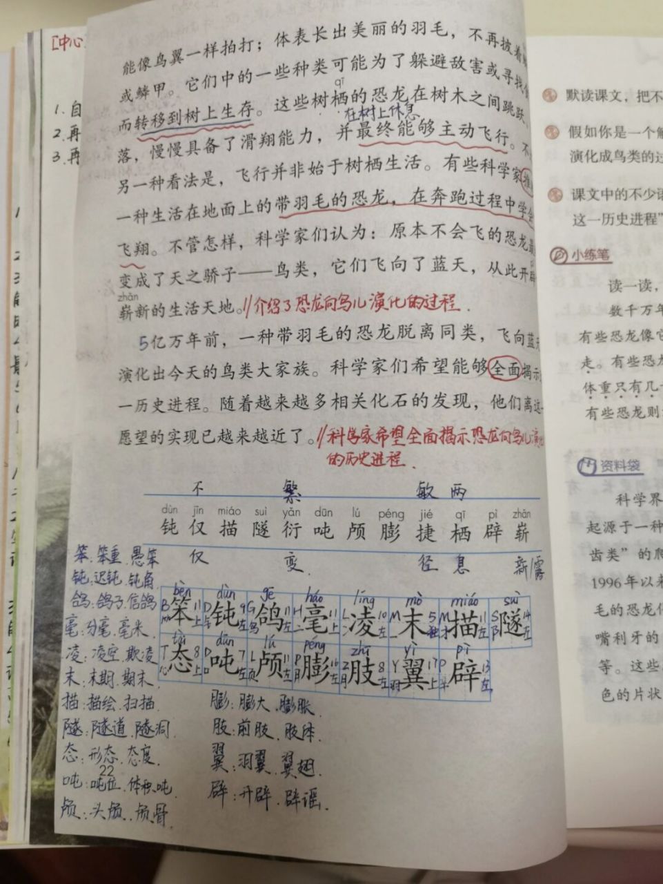 恐龙无处不在笔记图片