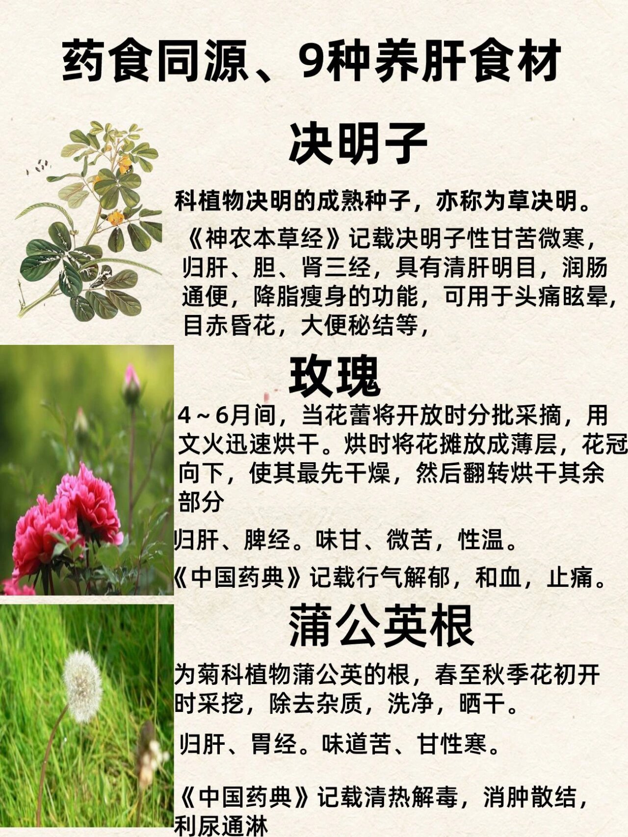 药食同源:9味养肝食材,公园田间地头都有 1,代代花:又叫玳玳花;玳玳花