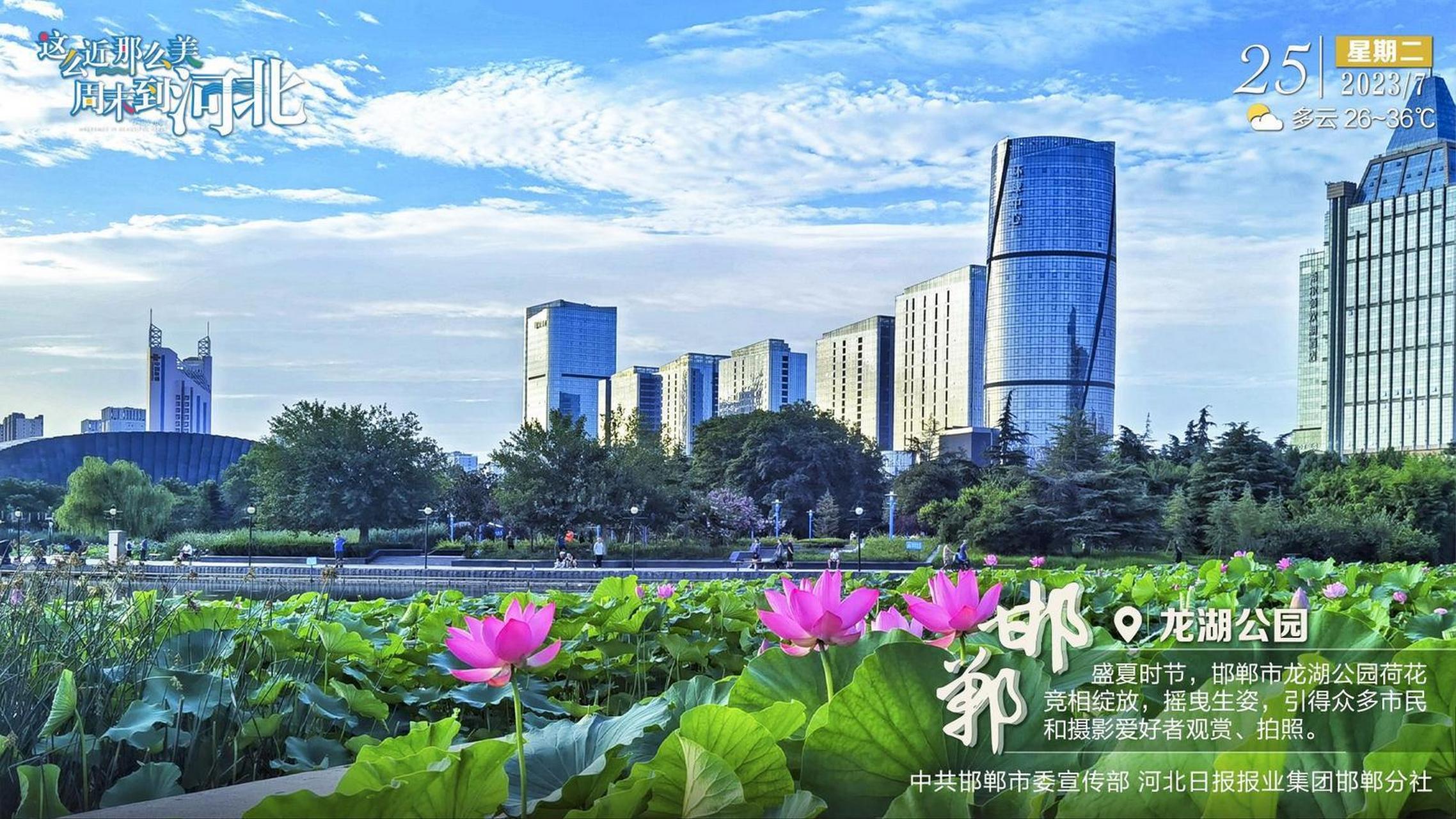 【#邯郸文旅君分享# ——邯郸·龙湖公园】龙湖公园盛夏时节,邯郸市