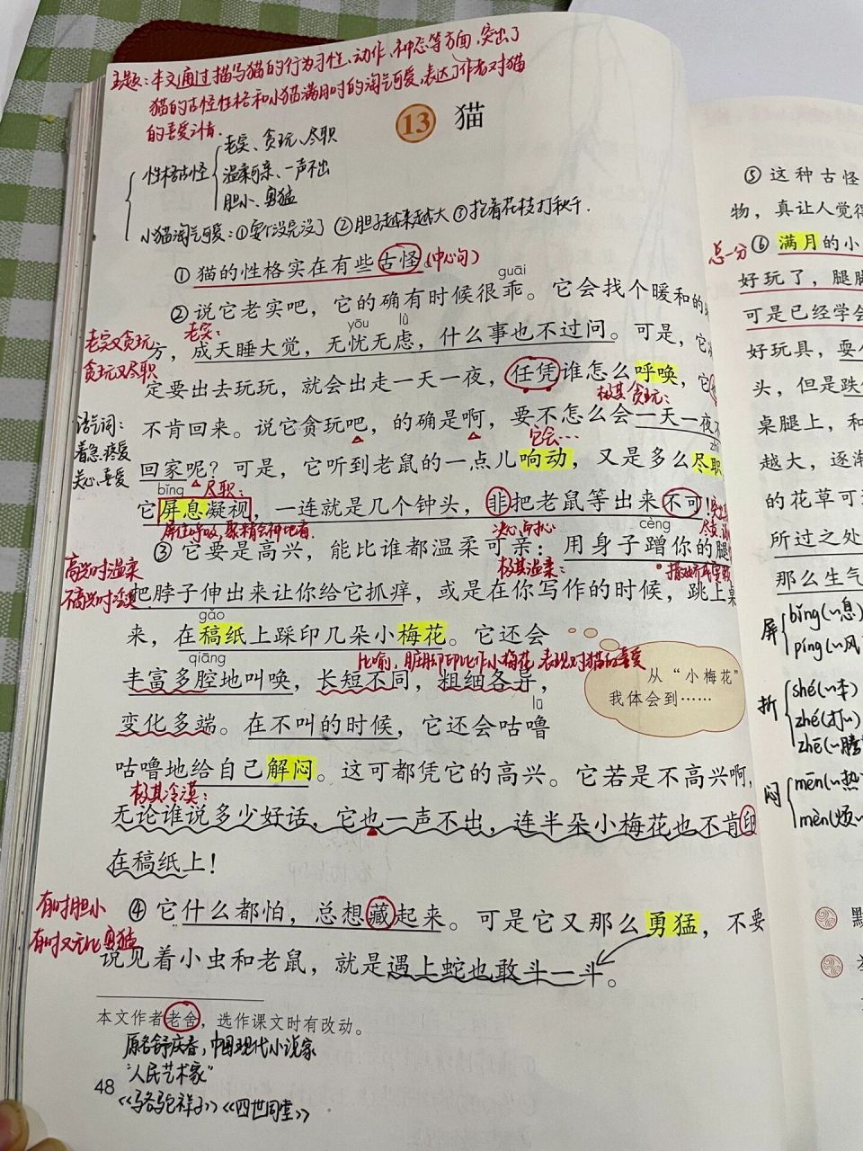 四下语文95|第13课《猫》课堂笔记