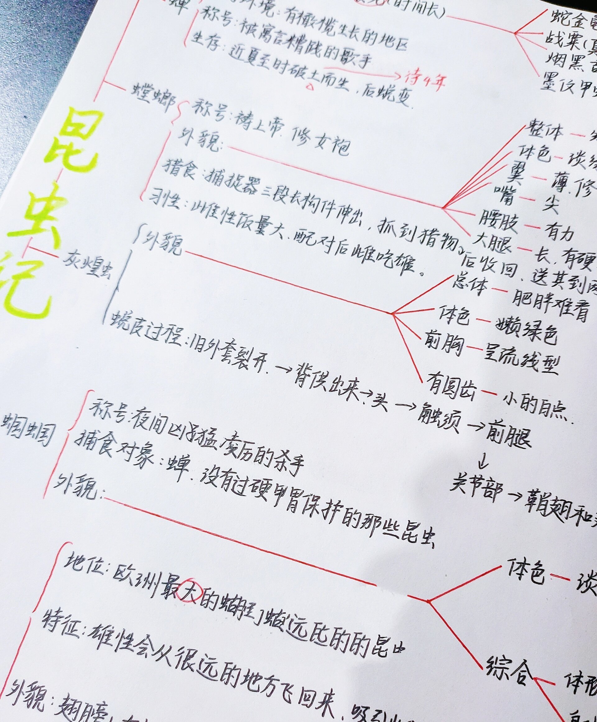 八上名著丨《昆虫记》思维导图 内容来源于网络 盗图