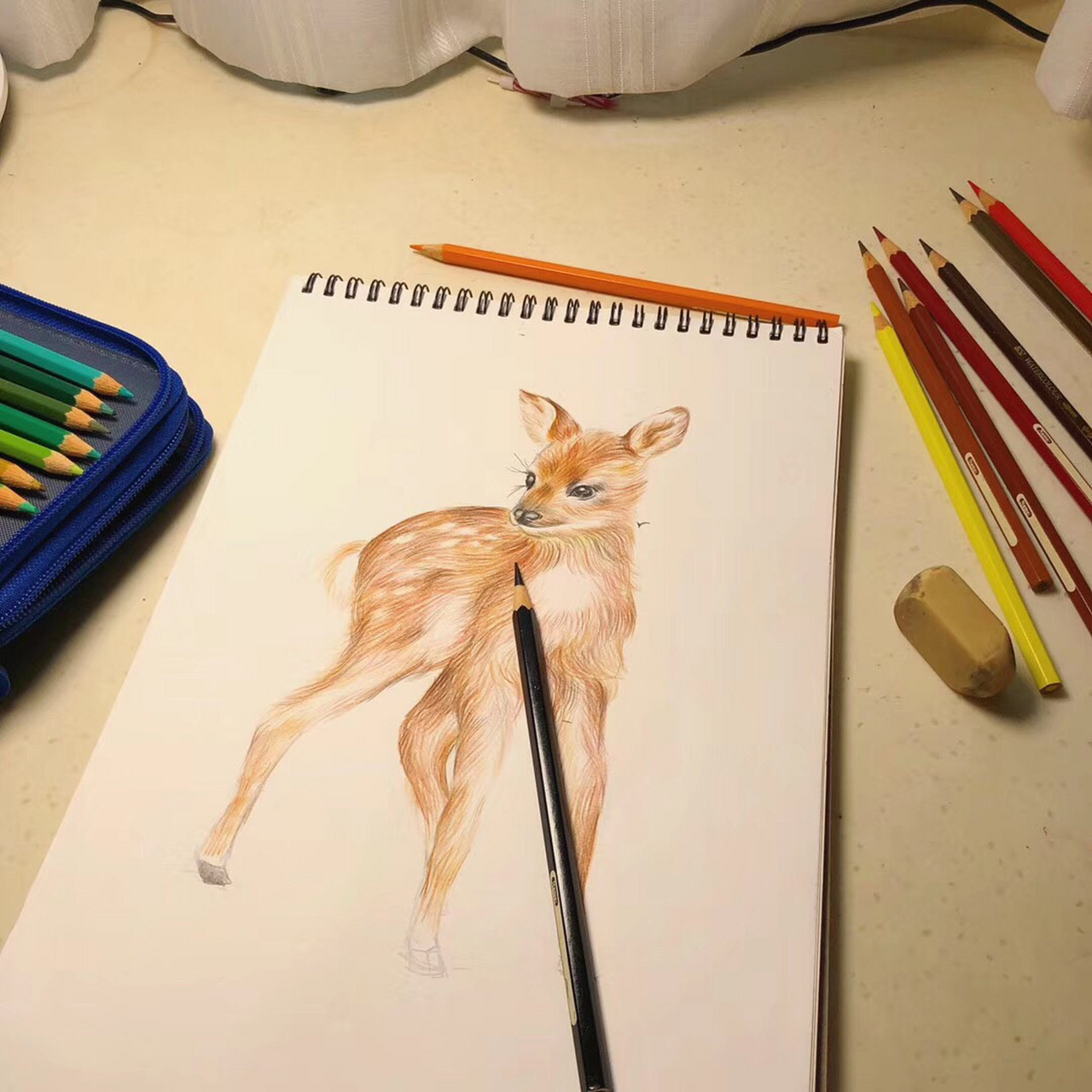 彩铅画临摹小动物之梅花鹿 拍照光线偏黄,小鹿颜色敲喜欢,毛流还算