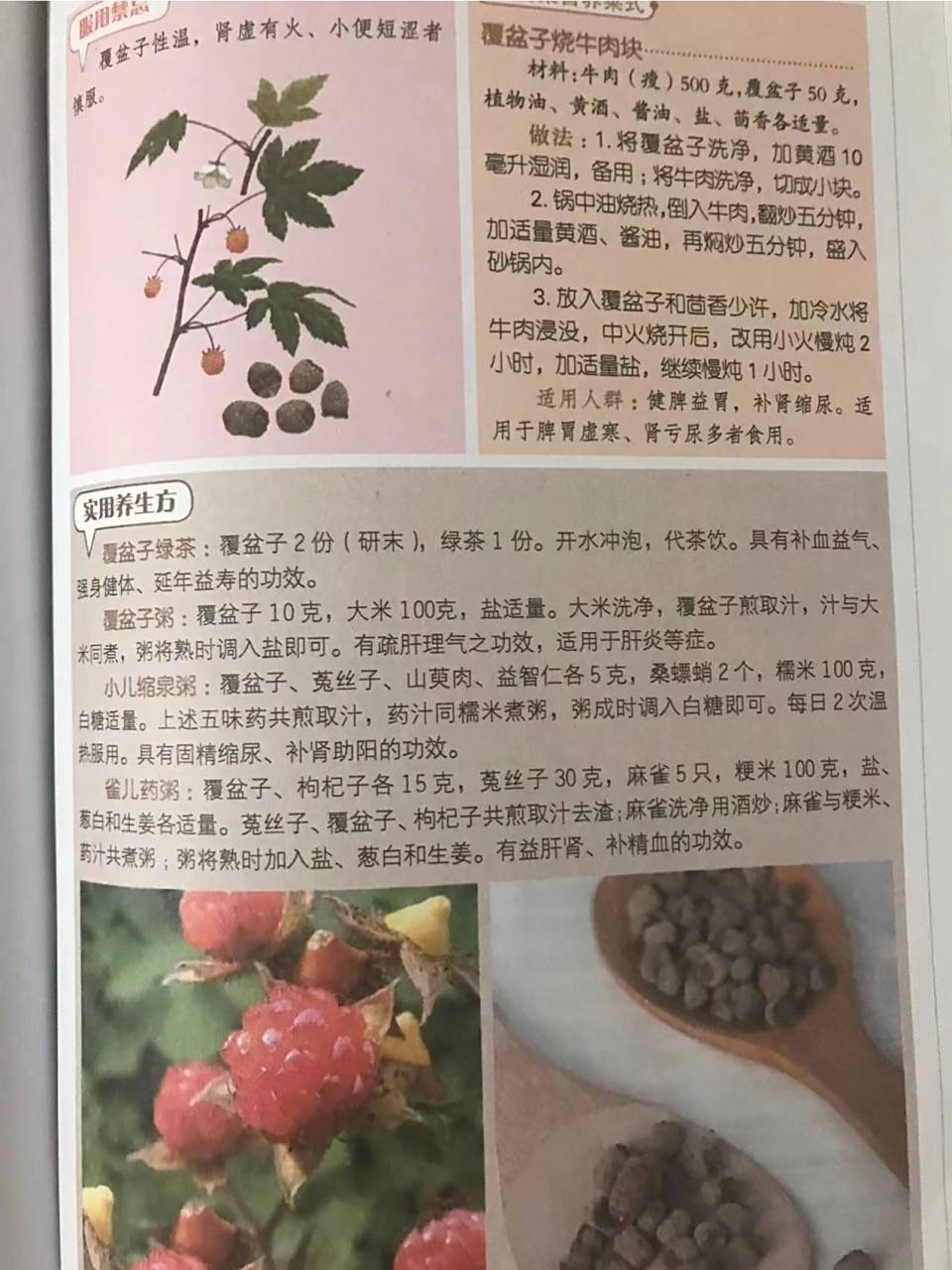 覆盆子养生方 覆盆子 9696中医养生功效:具有补肝肾,缩小便,助阳