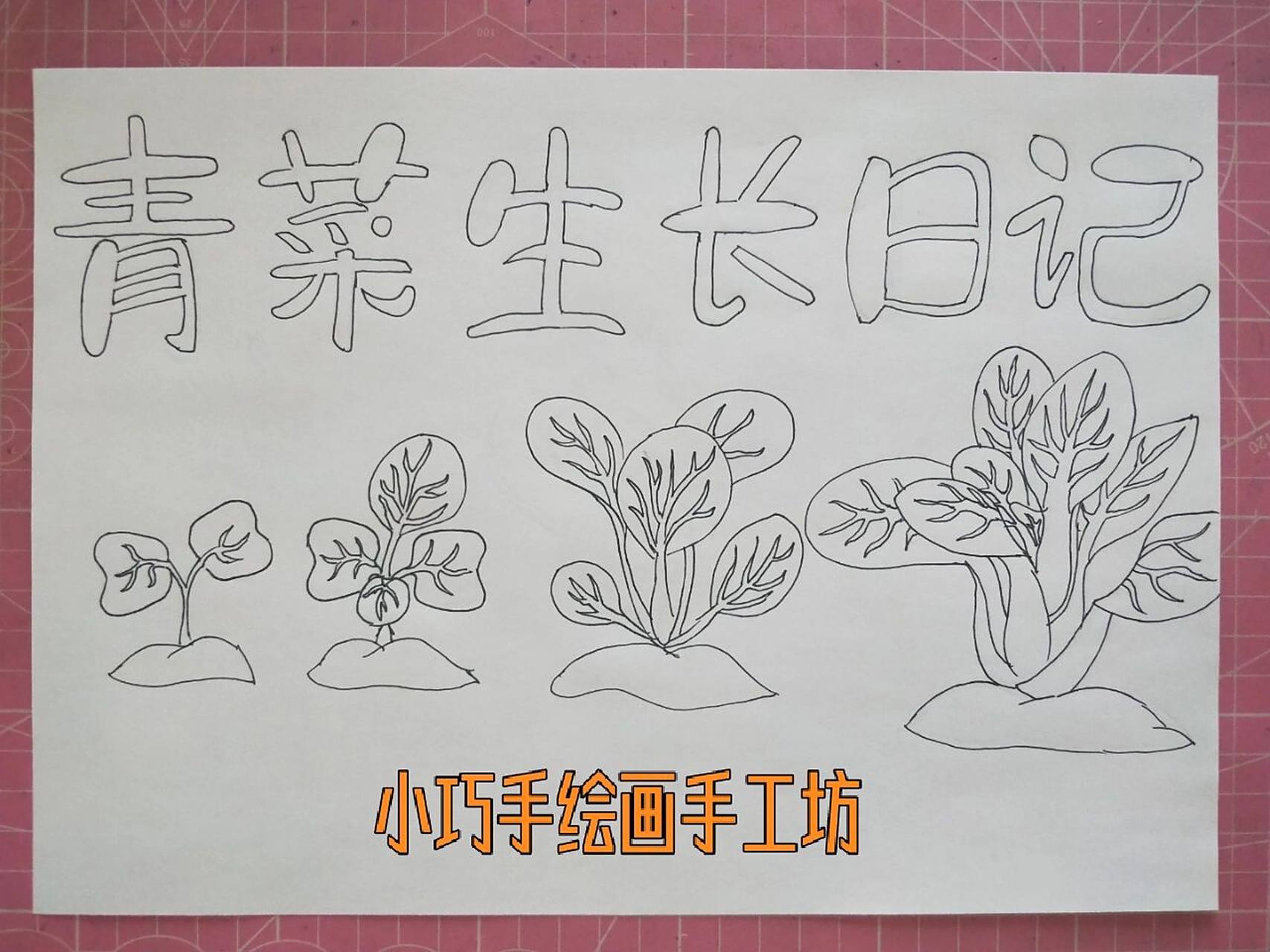 手抄报# #蔬菜的生长过程# #创意美术