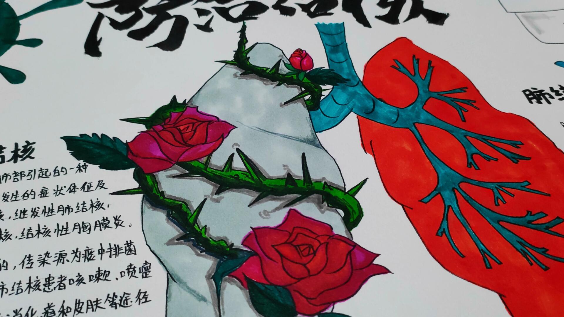 肺结核手抄报03