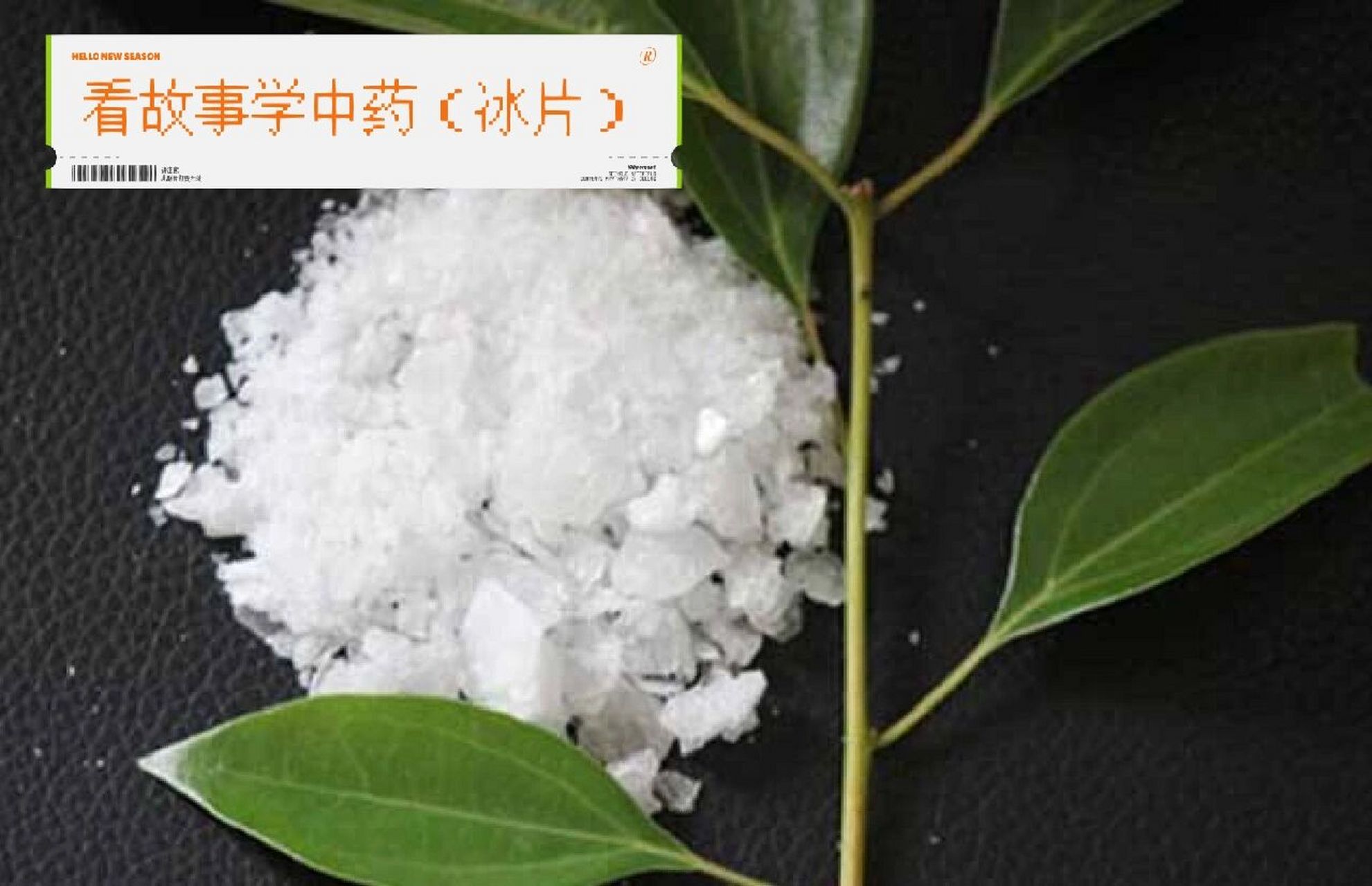 看故事学中药(冰片) 冰片中药故事 有个失去父母的盲孩子,因为不愿在