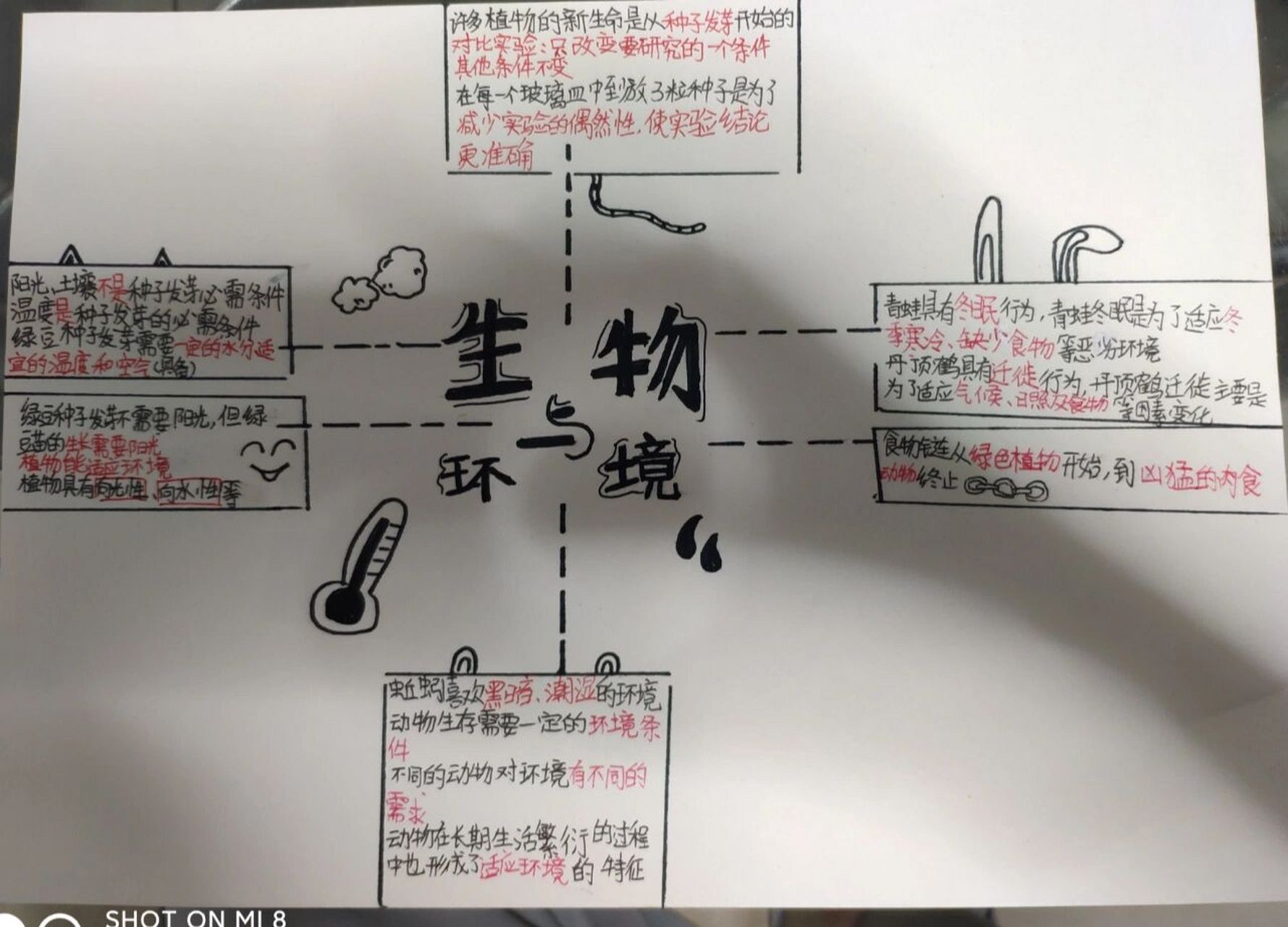 五下第1单元思维导图图片