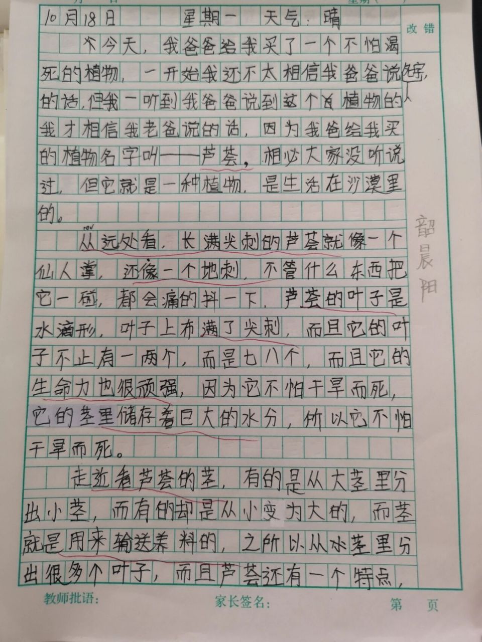 观察植物的日记100字左右四年级(观察植物日记100字四年级4篇一起)