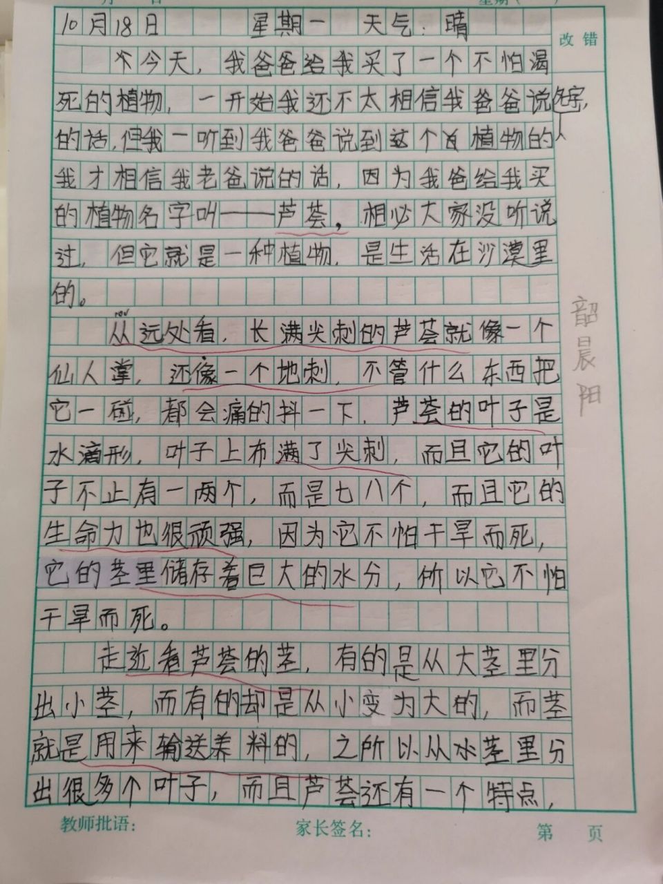 四年级关于观察的作文（四年级观察作文300字）《四年级观察的作文400字》