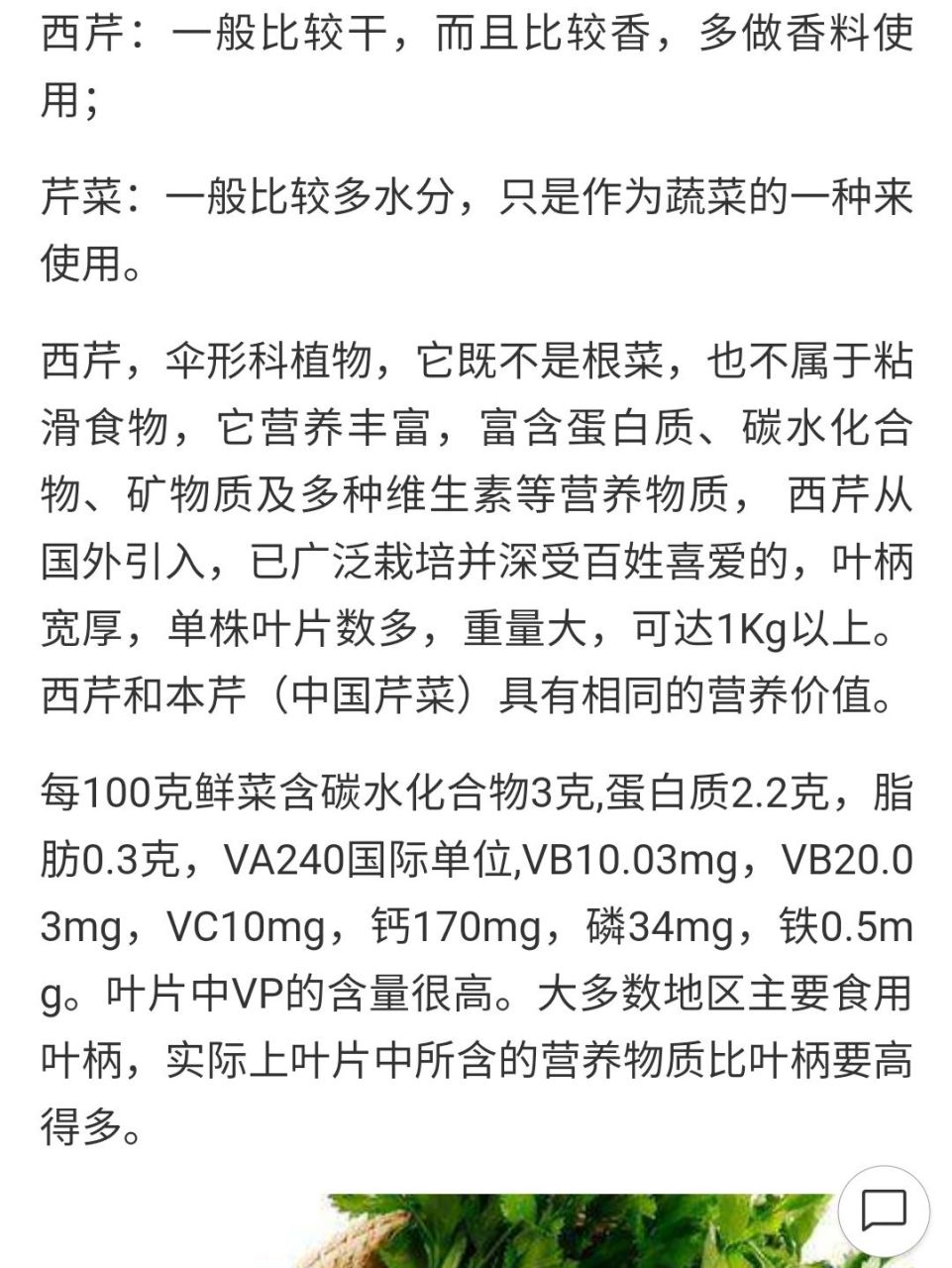 鲜榨西芹汁和芹菜汁 功效有什么差别吗?