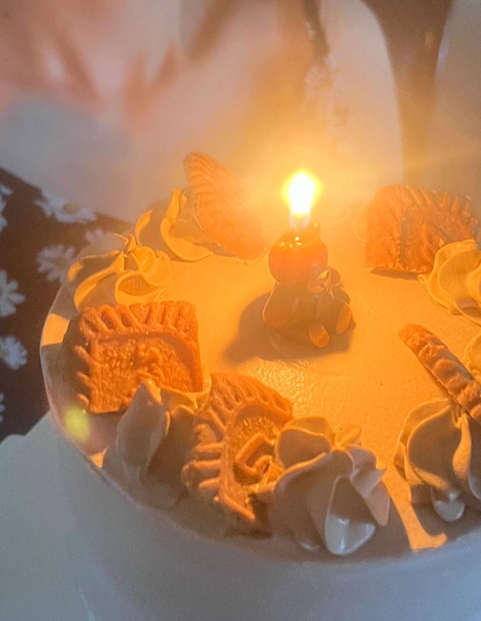 不露脸氛围感生日照 | 内附生日朋友圈文案 自己选的蛋糕款式 超可爱