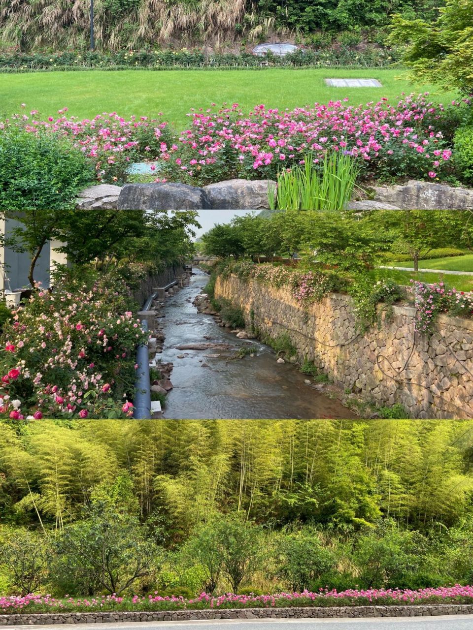 兰溪越龙山庄|徒步小白好去处 地址:越龙山国际旅游度假区位于浙江
