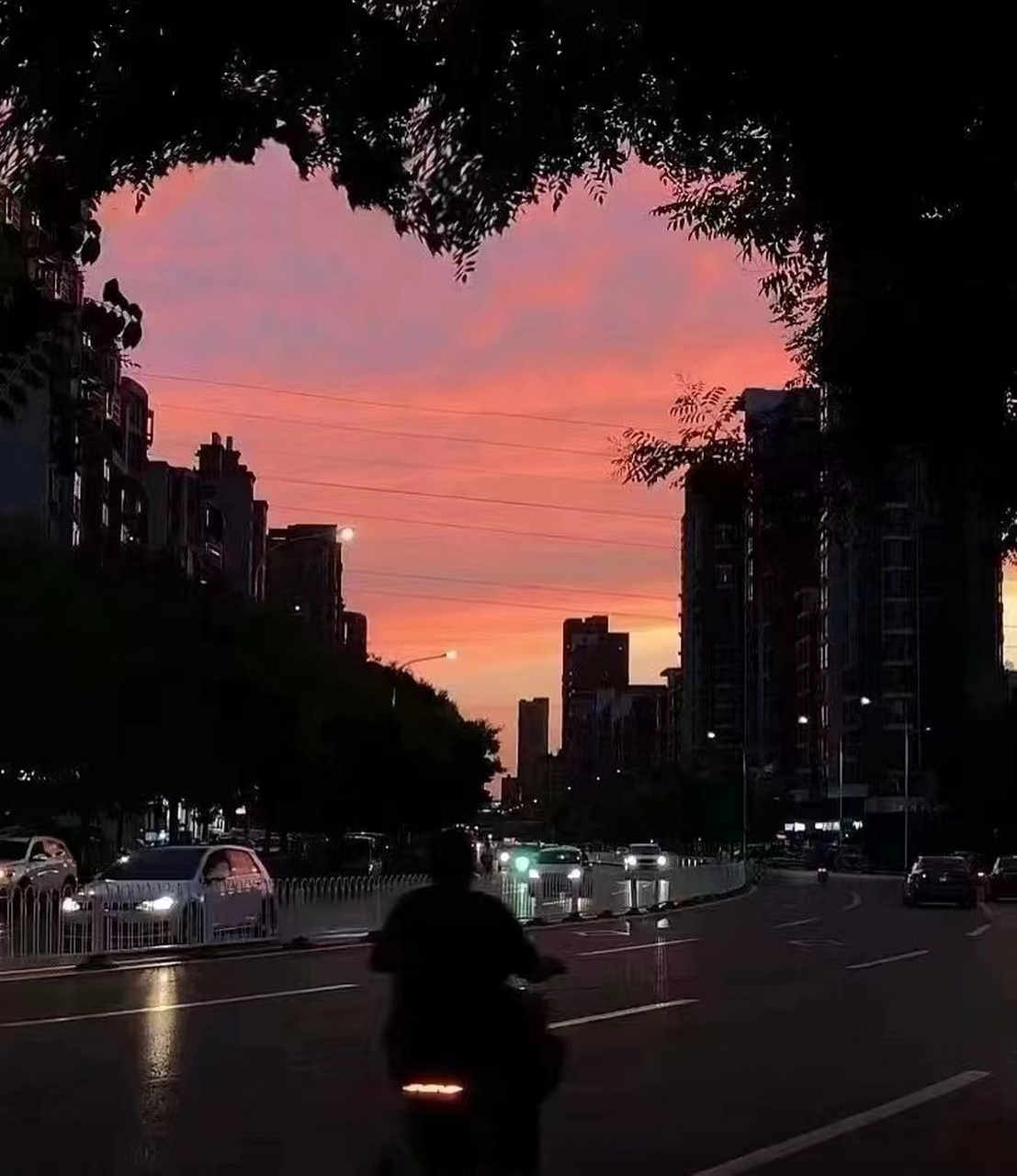 金华职业技术学院##说走就走的旅行#  生活会给你意想不到的惊喜.