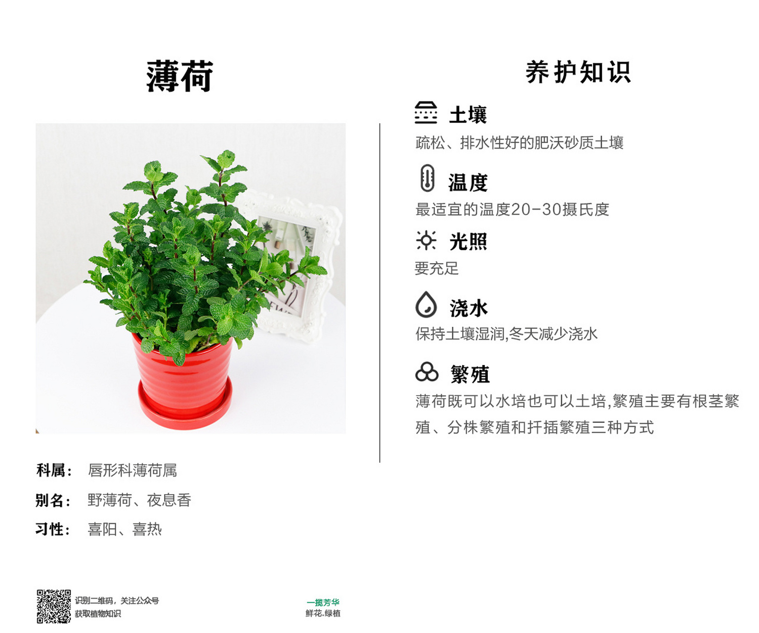 各种绿植植物养护卡片,需要联系 各种绿植植物养护卡片,我自己门店有