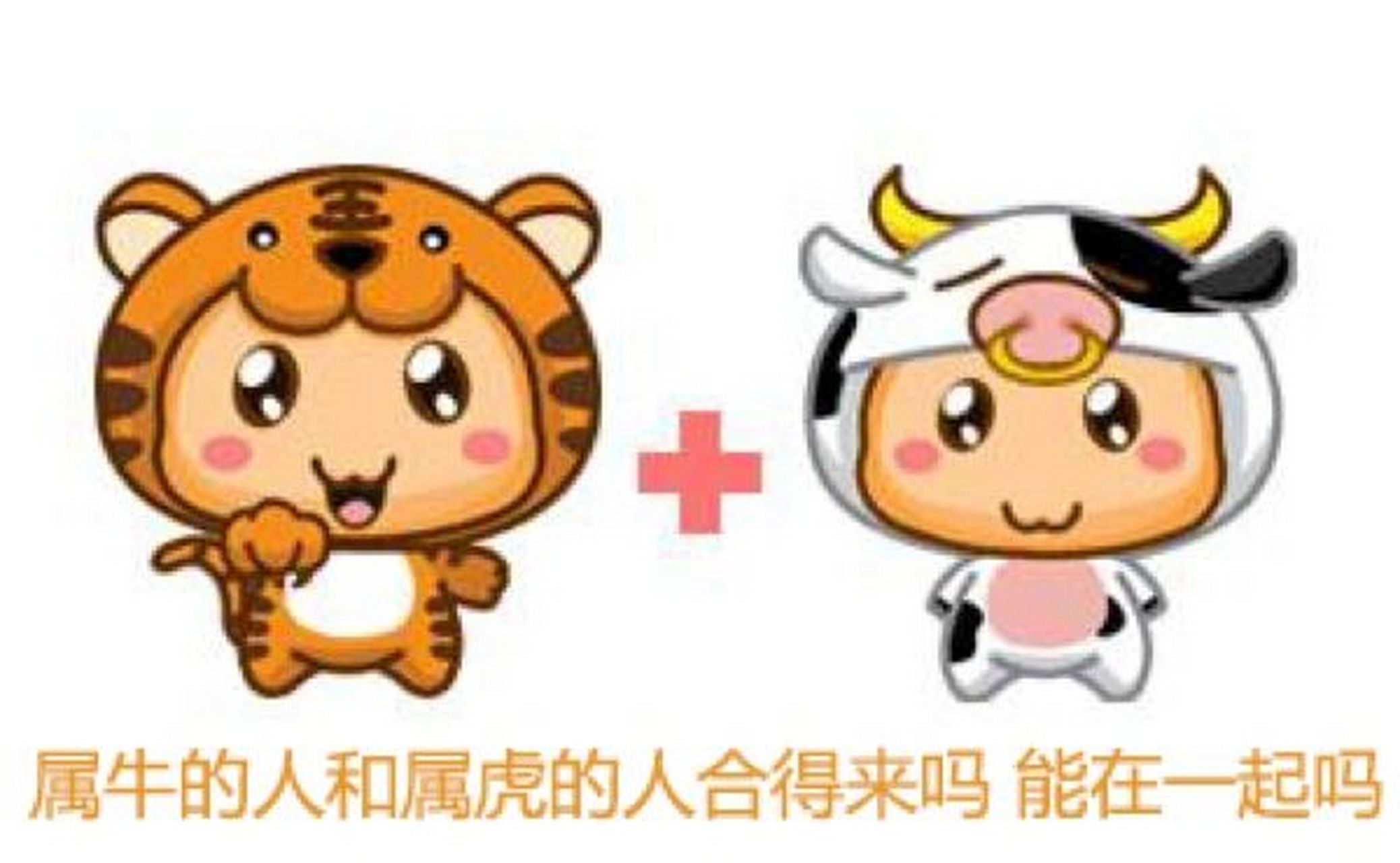 配对:虎牛配(男虎女牛,女虎男牛) 男虎   女牛 婚姻配对指数: 88%