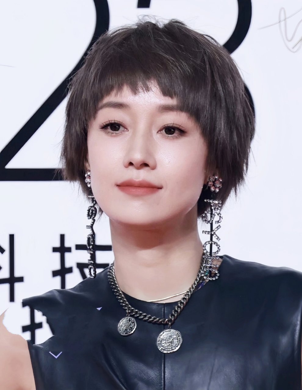 现实中看到的马伊琍素颜微调