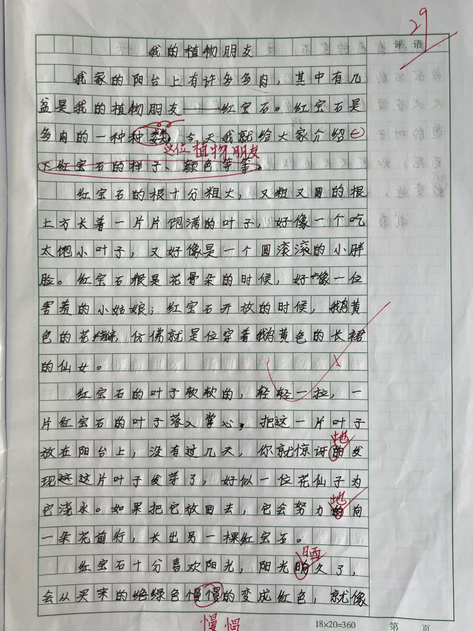 观察多肉植物作文350字(观察多肉植物的作文怎么写不少于300字)