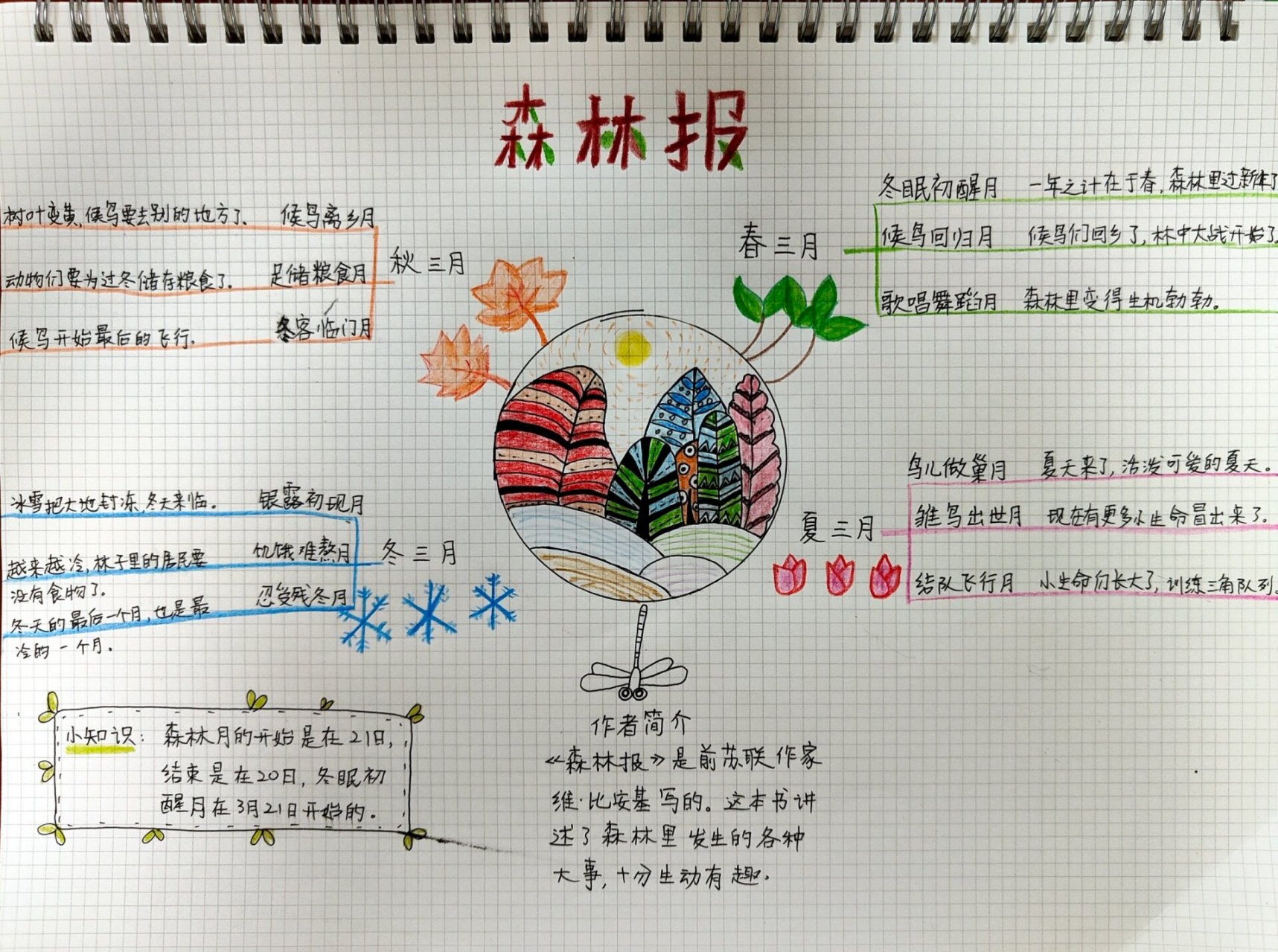 森林报秋思维导图内容图片