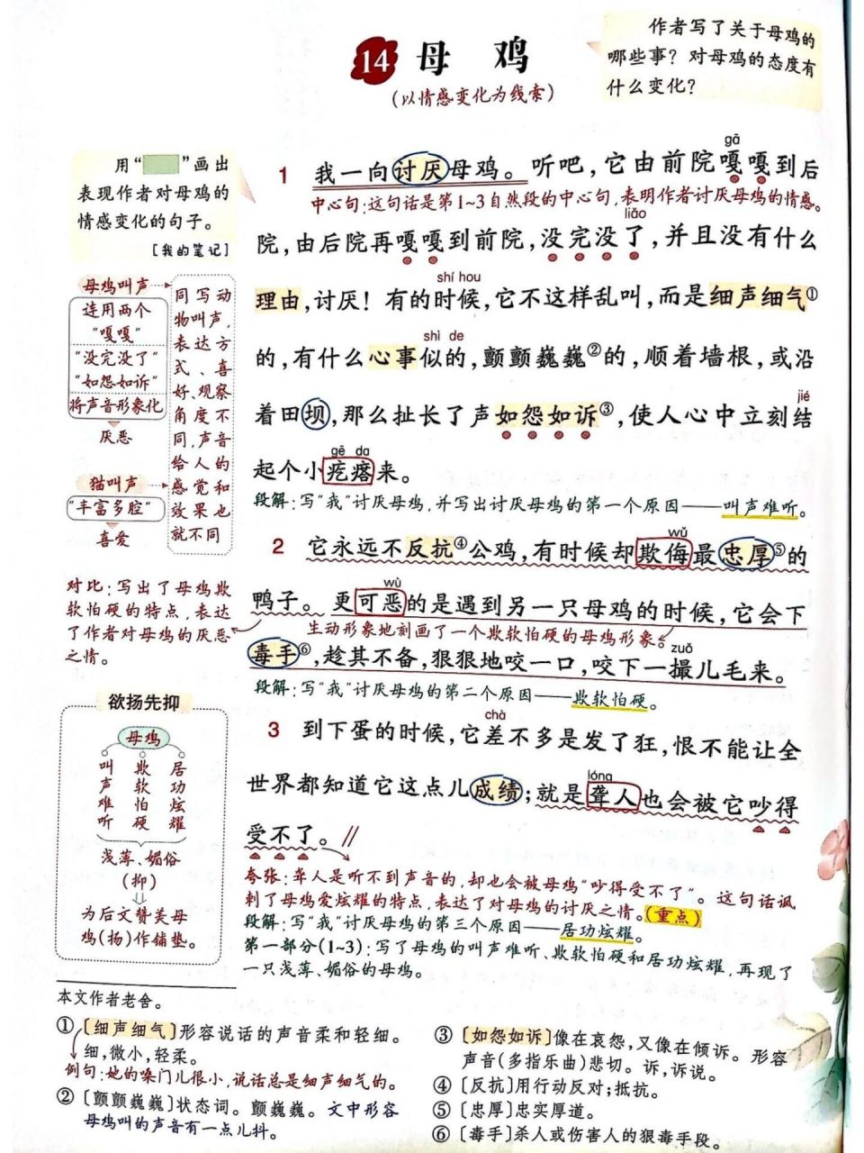 详细6015四下语文|第14课《母鸡》课堂笔记6015   四年级语文