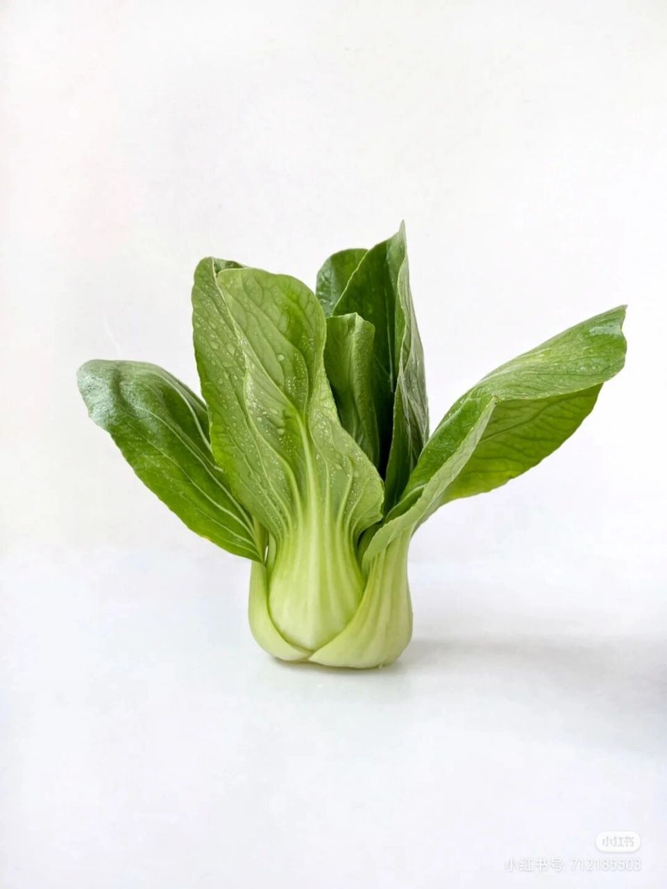 插画|蔬果系列-小白菜(附过程图) 一颗小白菜,补充维生素 发现一个好