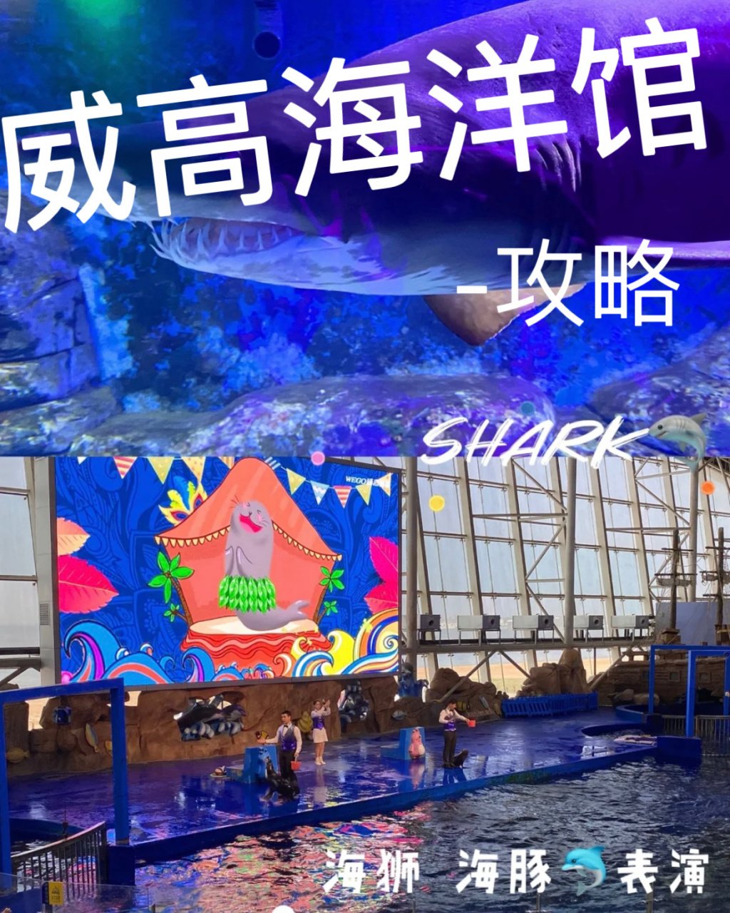 威海威高海洋公园打卡7099|海底世界半日游95 09地址:威海市