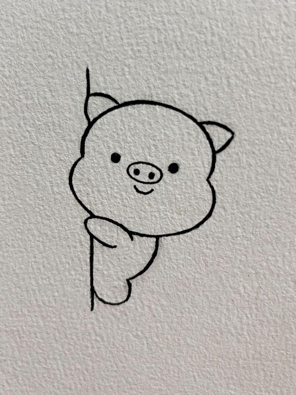 每日简笔画教程63|超可爱的猪猪简笔画