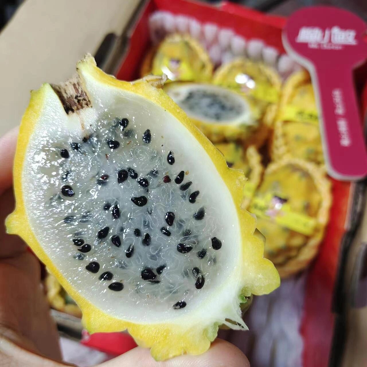 黄心火龙果71