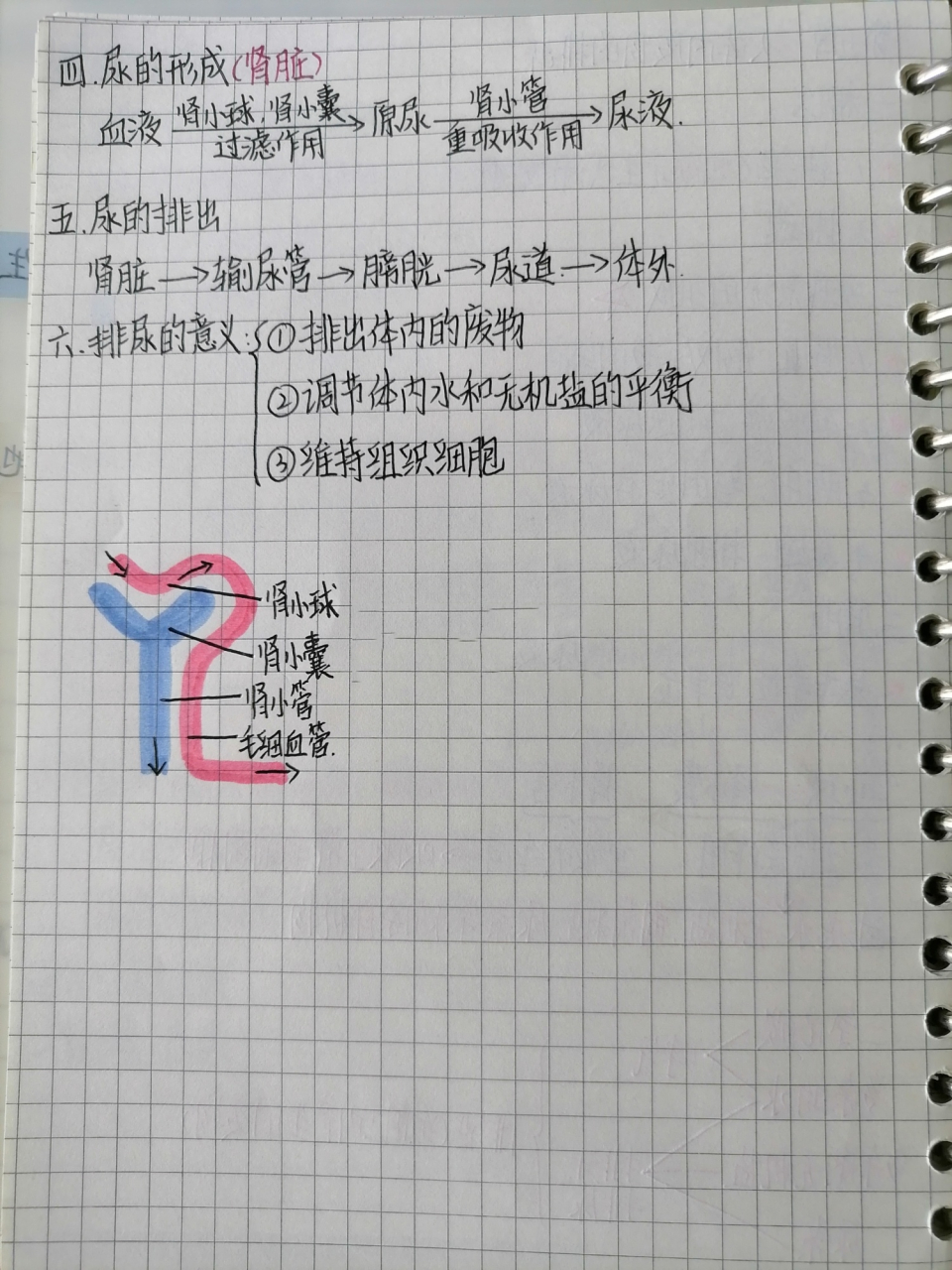 人教版七年级下册生物第五章笔记