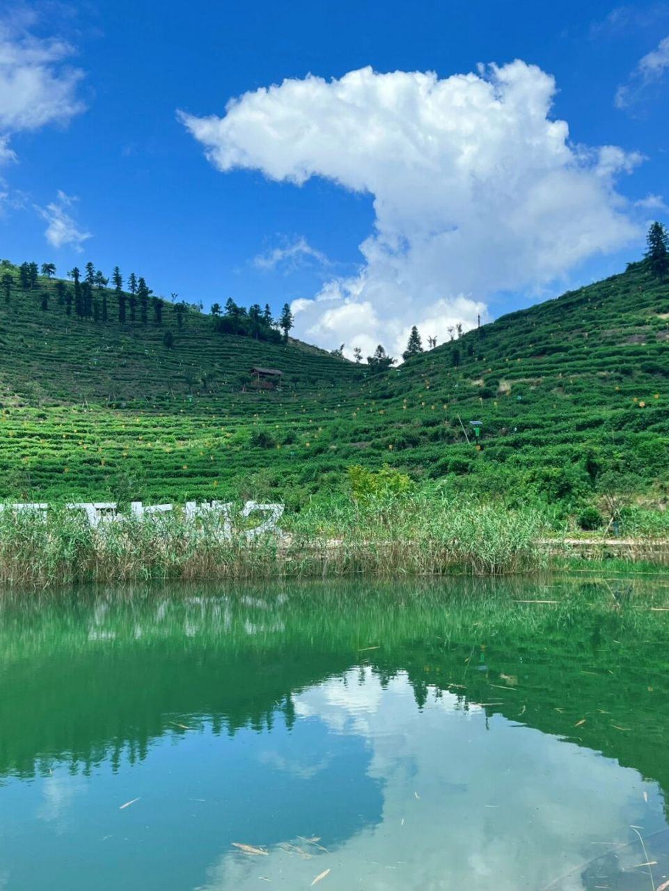 7215安顶山,位于富阳里山镇 20多分钟的盘山公路,开起来并不费力