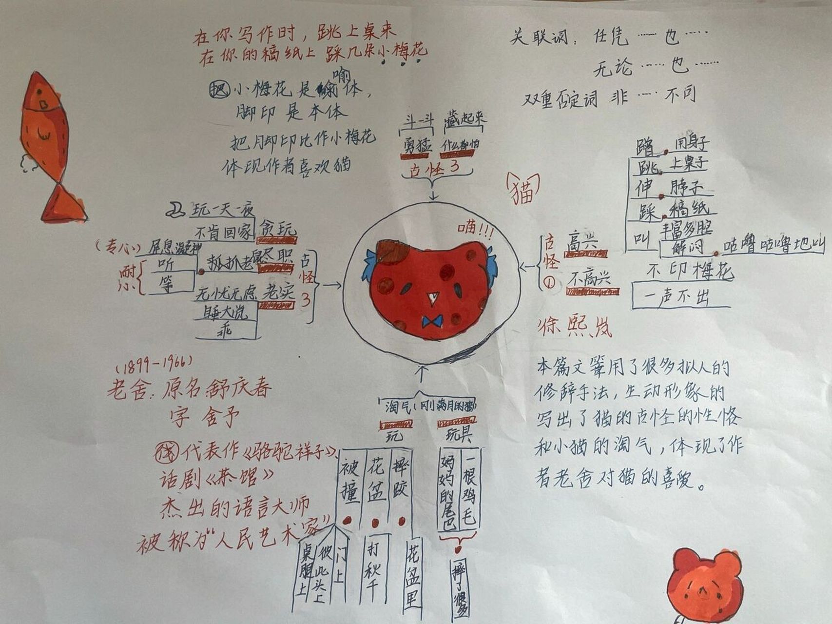 四下13课猫思维导图图片