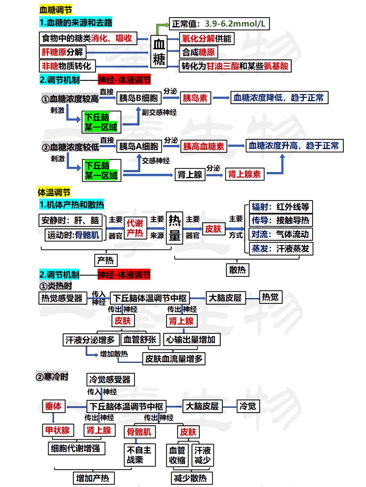 高考生物|模型速记|血糖体温调节